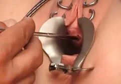 zipang-5044 kostenlose sexfilme mit tieren